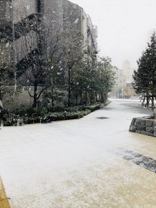 03C9D89B-CF8B-4B38-8694-AC0BF749ADF0