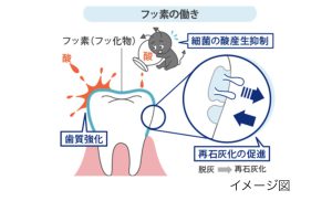 86E4F5F2-FAED-40DB-A76B-E33E0B27AA4A
